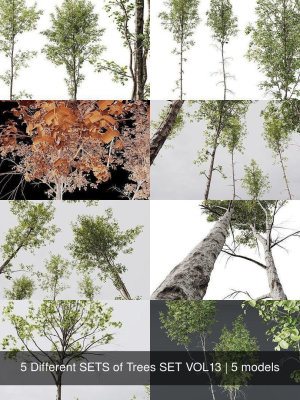 5-different-sets-of-trees-set-vol13-3d-model-92f2e50815