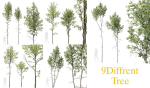 5 Different SETS of Trees SET VOL13