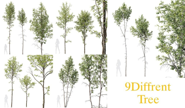 5 Different SETS of Trees SET VOL13