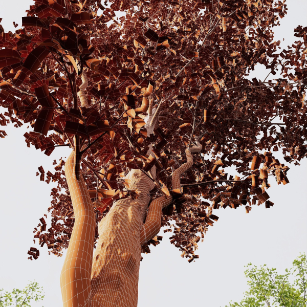 5 Different SETS of Trees SET VOL13