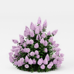 57 Different SETS Of Bush Flowers SET VOL05