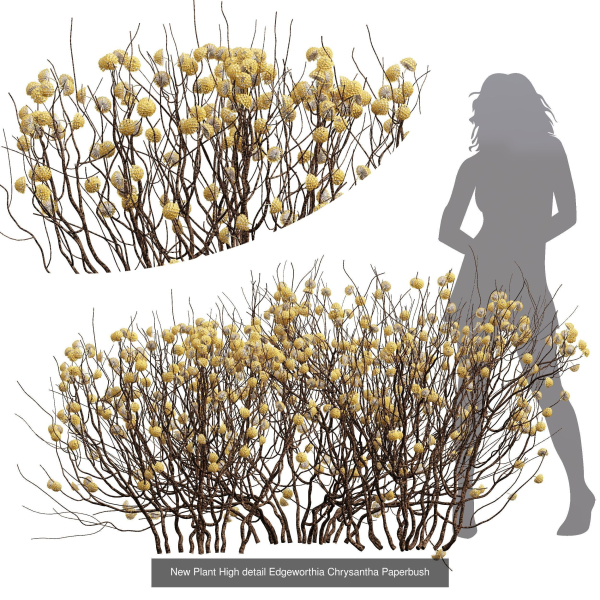 57 Different SETS Of Bush Flowers SET VOL05