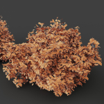 57 Different SETS Of Bush Flowers SET VOL05