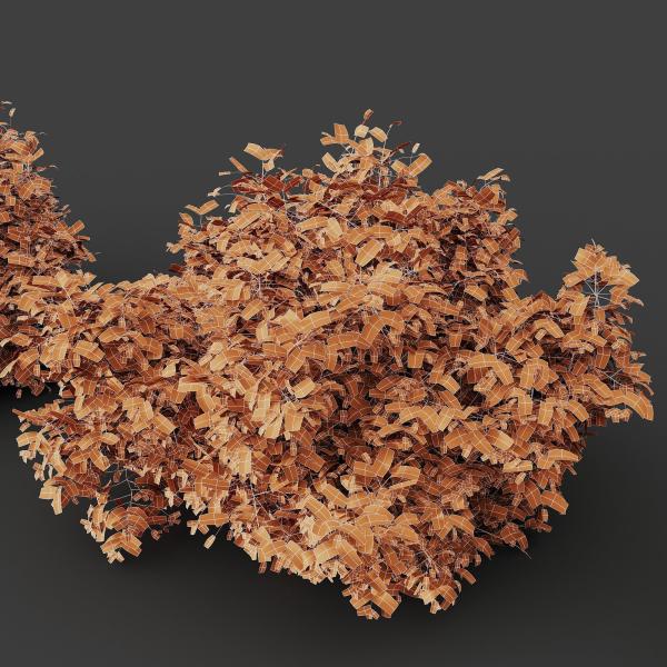 57 Different SETS Of Bush Flowers SET VOL05
