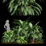 57 Different SETS Of Bush Flowers SET VOL05