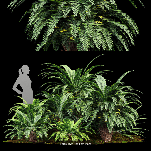 57 Different SETS Of Bush Flowers SET VOL05