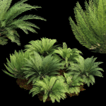 57 Different SETS Of Bush Flowers SET VOL05