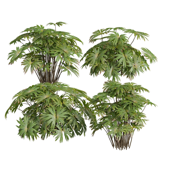 57 Different SETS Of Bush Flowers SET VOL05