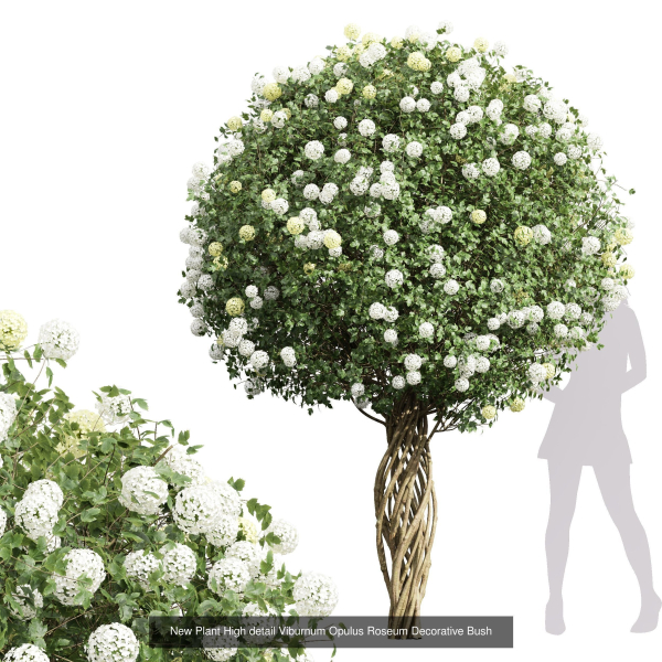 57 Different SETS Of Bush Flowers SET VOL05