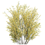 57 Different SETS Of Bush Flowers SET VOL05