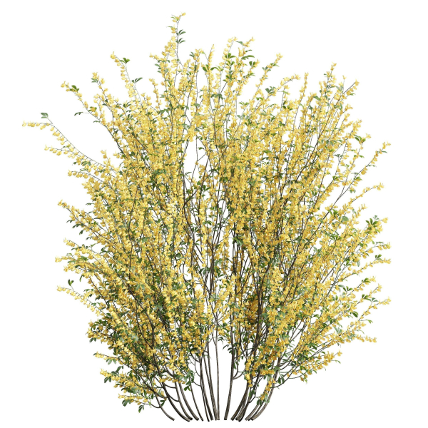 57 Different SETS Of Bush Flowers SET VOL05