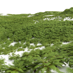 57 Different SETS Of Bush Flowers SET VOL05