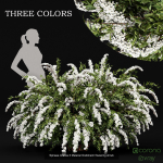 57 Different SETS Of Bush Flowers SET VOL05