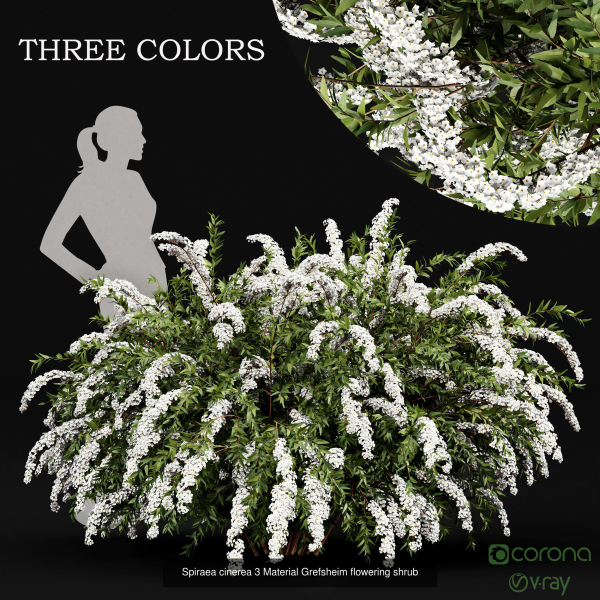 57 Different SETS Of Bush Flowers SET VOL05