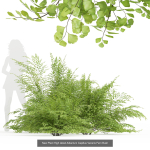 57 Different SETS Of Bush Flowers SET VOL05