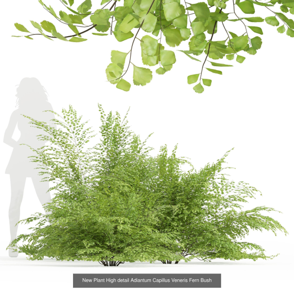 57 Different SETS Of Bush Flowers SET VOL05
