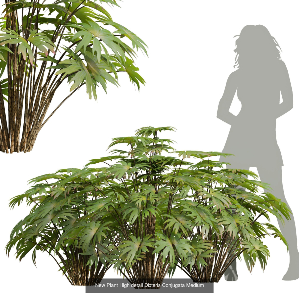 57 Different SETS Of Bush Flowers SET VOL05