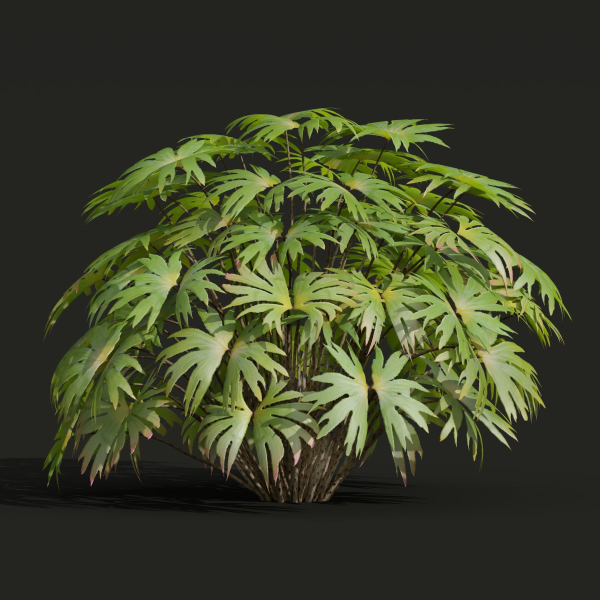 57 Different SETS Of Bush Flowers SET VOL05