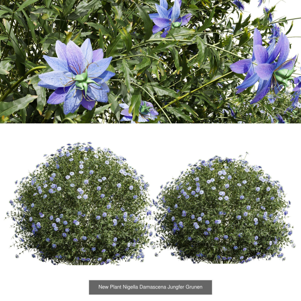57 Different SETS Of Bush Flowers SET VOL05