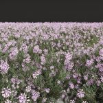 57 Different SETS Of Bush Flowers SET VOL05