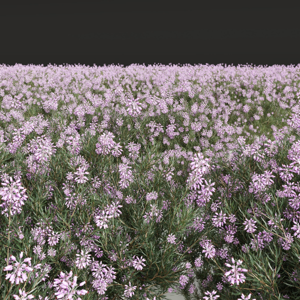 57 Different SETS Of Bush Flowers SET VOL05