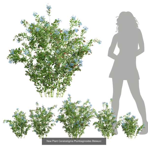 57 Different SETS Of Bush Flowers SET VOL05