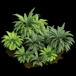 57 Different SETS Of Bush Flowers SET VOL05