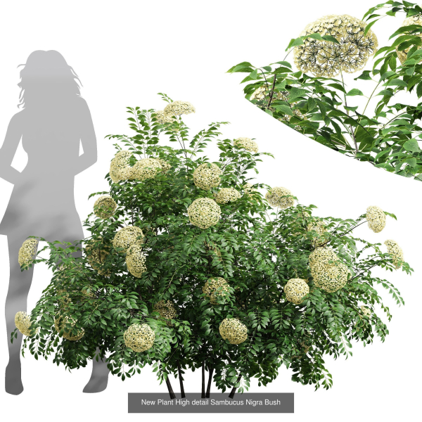 57 Different SETS Of Bush Flowers SET VOL05