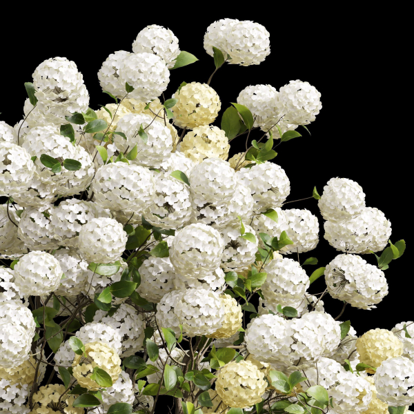 57 Different SETS Of Bush Flowers SET VOL05