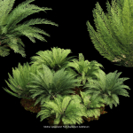 57 Different SETS Of Bush Flowers SET VOL05