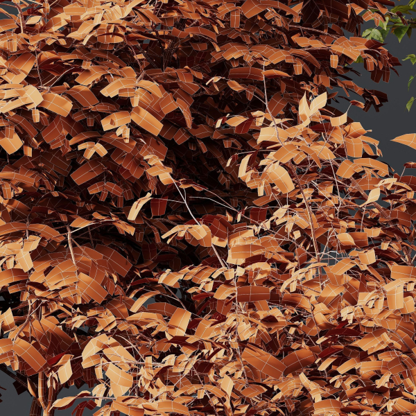 57 Different SETS Of Bush Flowers SET VOL05
