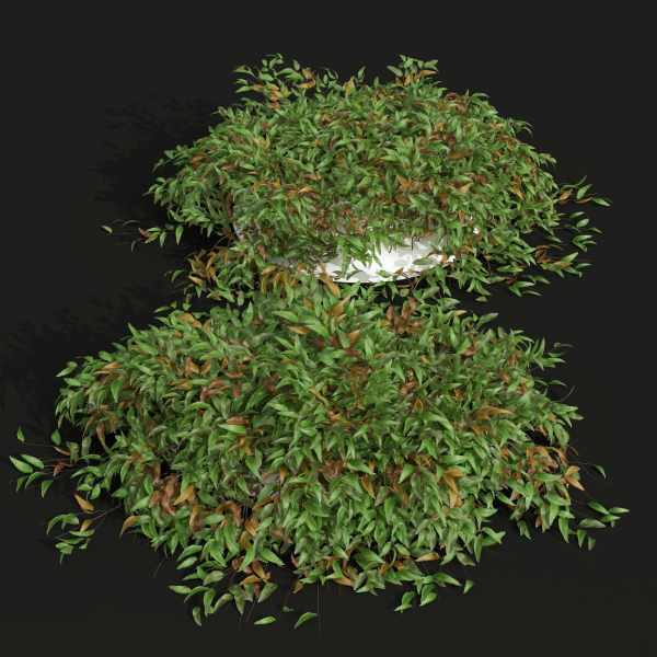 57 Different SETS Of Bush Flowers SET VOL05