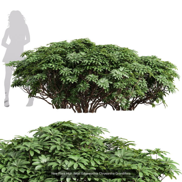 57 Different SETS Of Bush Flowers SET VOL05
