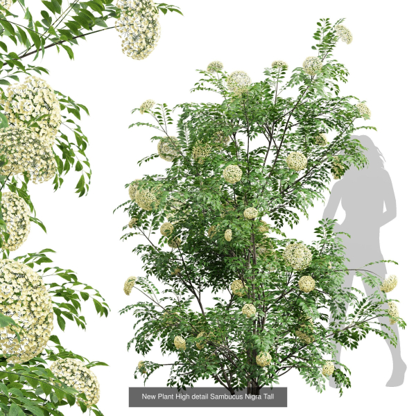 57 Different SETS Of Bush Flowers SET VOL05