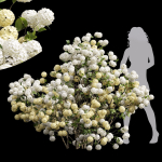 57 Different SETS Of Bush Flowers SET VOL05