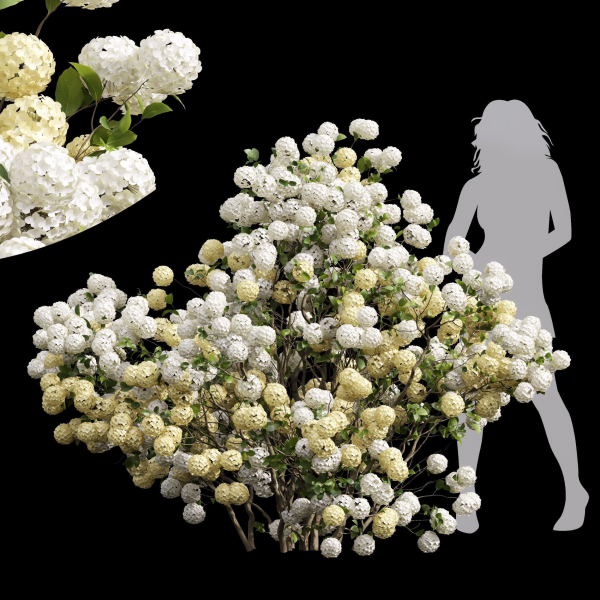 57 Different SETS Of Bush Flowers SET VOL05