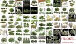 57 Different SETS Of Bush Flowers SET VOL05