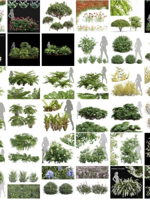 57 Different SETS Of Bush Flowers SET VOL05