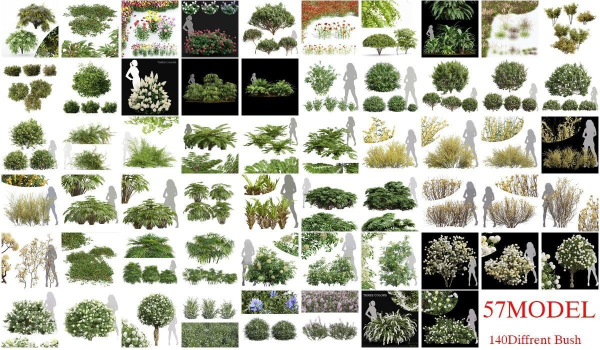 57 Different SETS Of Bush Flowers SET VOL05