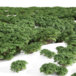 57 Different SETS Of Bush Flowers SET VOL05
