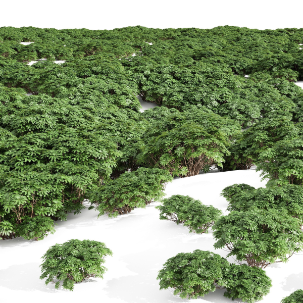57 Different SETS Of Bush Flowers SET VOL05