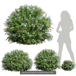 57 Different SETS Of Bush Flowers SET VOL05