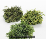 57 Different SETS Of Bush Flowers SET VOL05