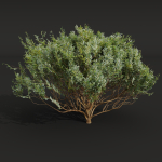 57 Different SETS Of Bush Flowers SET VOL05