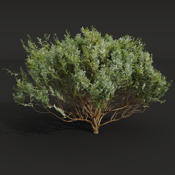 57 Different SETS Of Bush Flowers SET VOL05