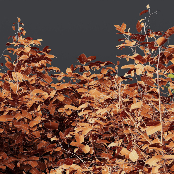 57 Different SETS Of Bush Flowers SET VOL05