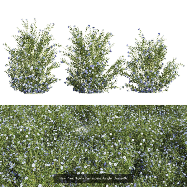 57 Different SETS Of Bush Flowers SET VOL05