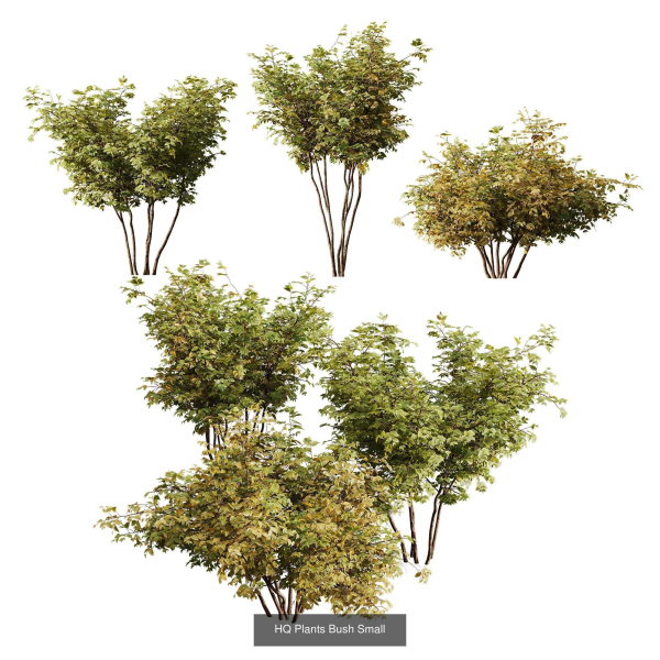 57 Different SETS Of Bush Flowers SET VOL05