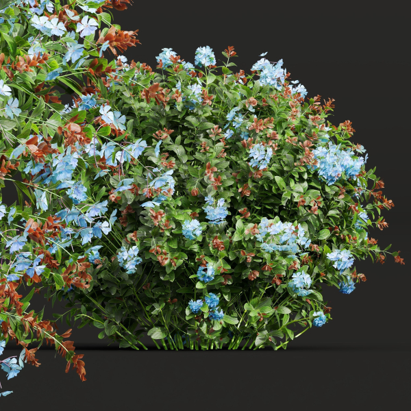 57 Different SETS Of Bush Flowers SET VOL05