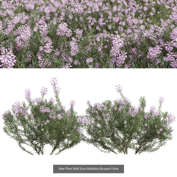57 Different SETS Of Bush Flowers SET VOL05